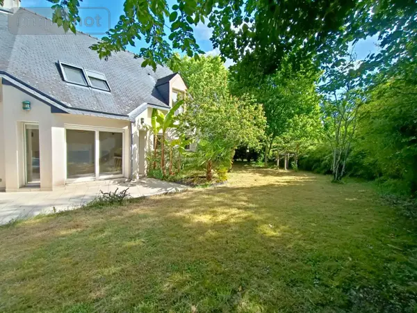 image-annonce