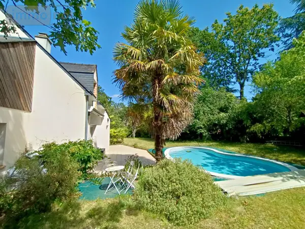 image-annonce