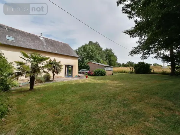 image-annonce