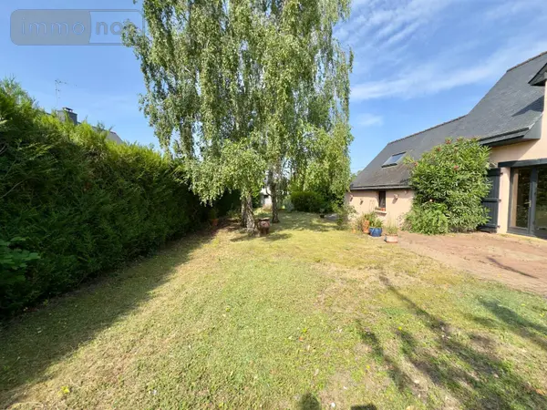 image-annonce