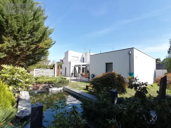 image-annonce