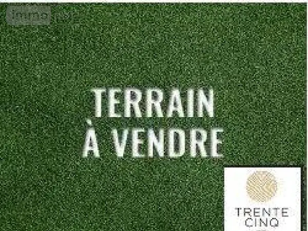 image-annonce