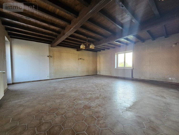 propriete a vendre Replonges 01750 Ain 95 m2 3 pièces 220000 euros