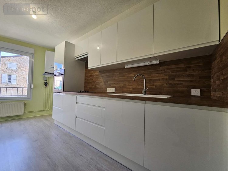 Location appartement Saint-Laurent-sur-Saône 01750 Ain 70 m2 3 pièces 750 euros