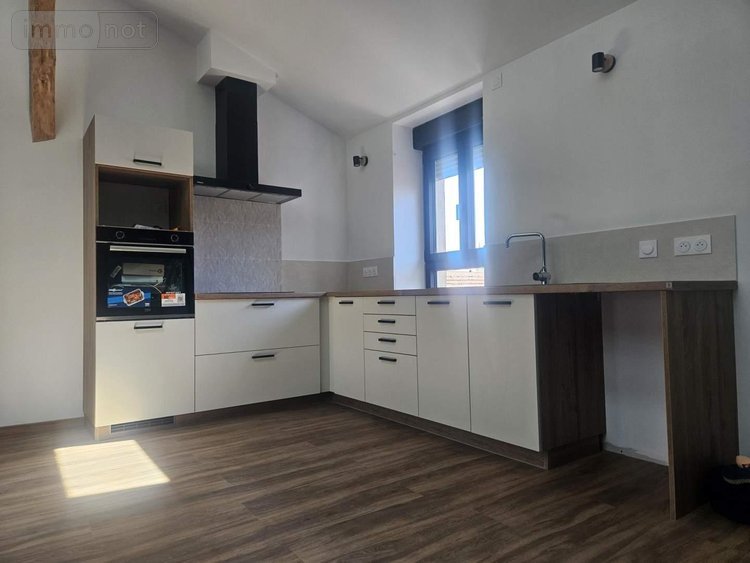 Location appartement Saint-Laurent-sur-Saône 01750 Ain 99 m2 3 pièces 890 euros