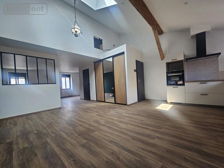 Location appartement Saint-Laurent-sur-Saône 01750 Ain 99 m2 3 pièces 890 euros