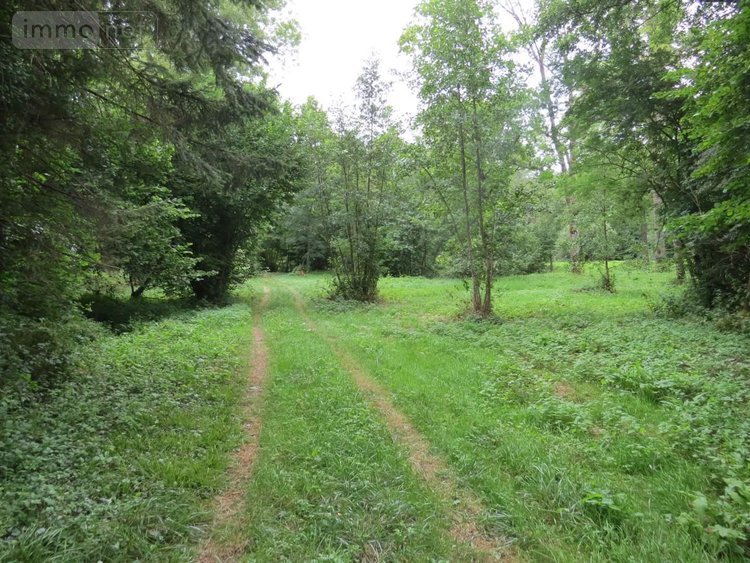 Terrains de loisirs bois etangs a vendre Fraillicourt 08220 Ardennes 19400 m2  98600 euros