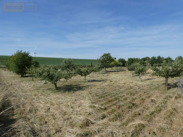 Terrains de loisirs bois etangs a vendre Villers-devant-le-Thour 08190 Ardennes 4480 m2  19900 euros