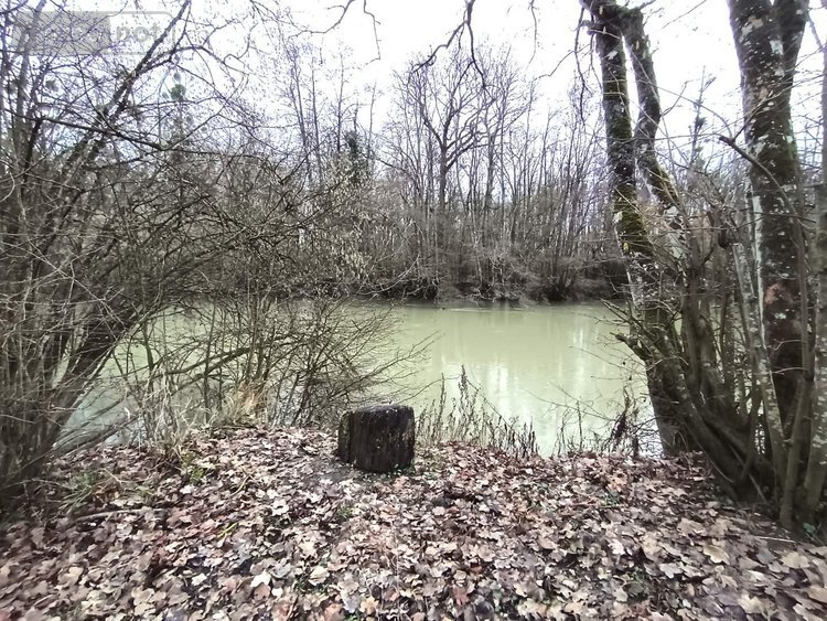 Terrains de loisirs bois etangs a vendre Balham 08190 Ardennes 425 m2  17760 euros