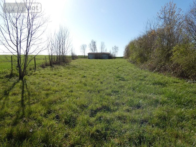Terrains de loisirs bois etangs a vendre Blanzy-la-Salonnaise 08190 Ardennes 5030 m2  22000 euros