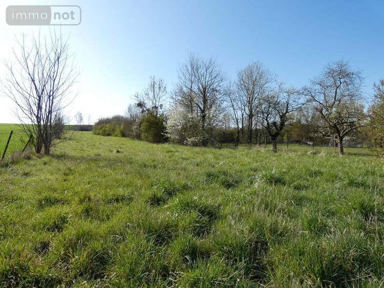 Terrains de loisirs bois etangs a vendre Blanzy-la-Salonnaise 08190 Ardennes 5030 m2  22000 euros