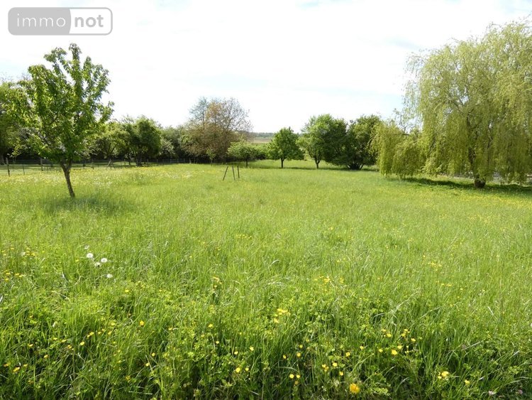 Maison a vendre Amagne 08300 Ardennes 217 m2 8 pièces 299000 euros