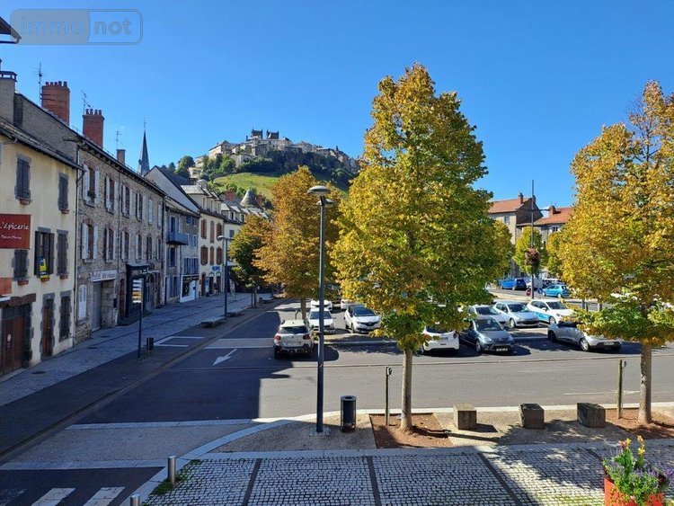 Location fonds et murs commerciaux Saint-Flour 15100 Cantal 120 m2  800 euros