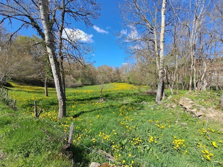 Maison a vendre Vieillespesse 15500 Cantal 99 m2 8 pièces 84800 euros