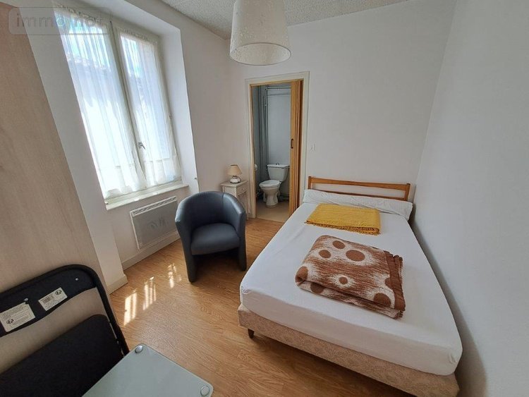 Immeuble a vendre Saint-Flour 15100 Cantal 373 m2  477000 euros