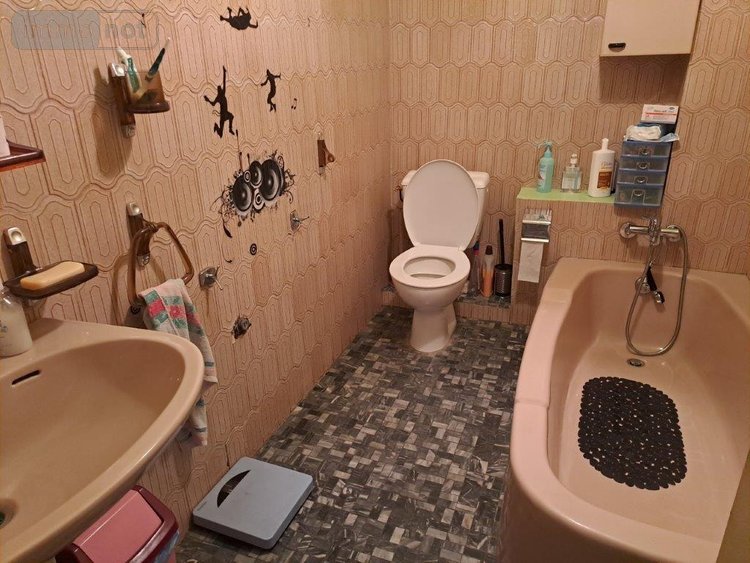 Maison a vendre Chaudes-Aigues 15110 Cantal 151 m2 9 pièces 146280 euros