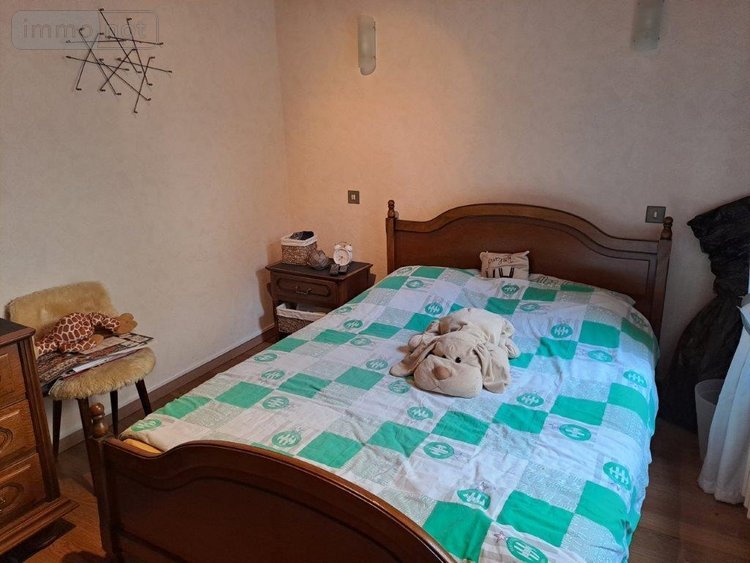 Maison a vendre Chaudes-Aigues 15110 Cantal 151 m2 9 pièces 146280 euros