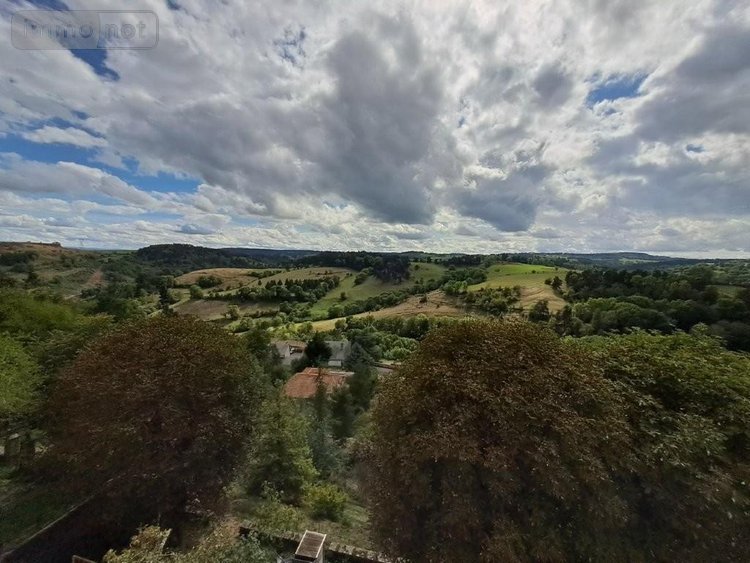 Immeuble a vendre Saint-Flour 15100 Cantal 261 m2  147340 euros