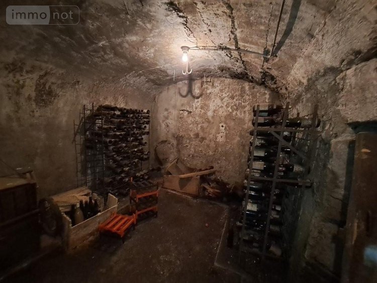 Immeuble a vendre Saint-Flour 15100 Cantal 261 m2  147340 euros