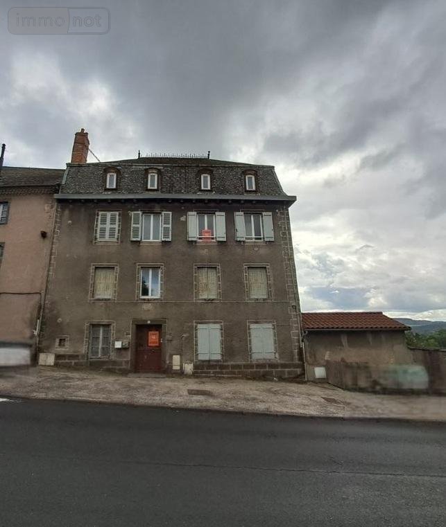 Immeuble a vendre Saint-Flour 15100 Cantal 261 m2  147340 euros