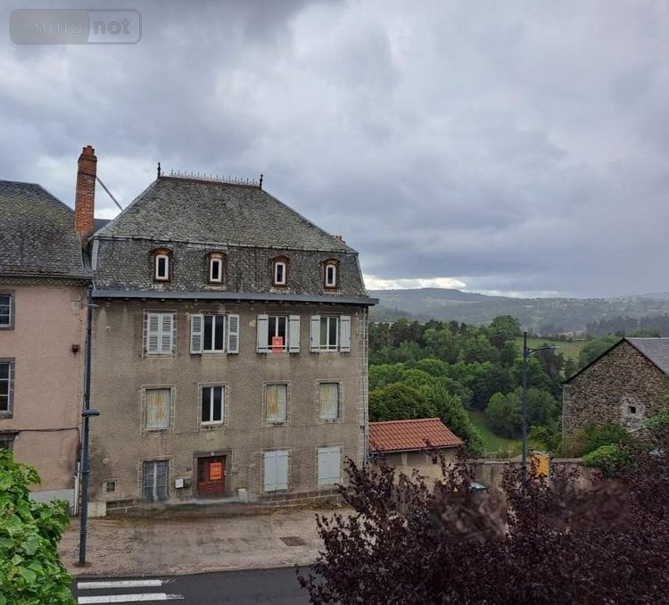 Immeuble a vendre Saint-Flour 15100 Cantal 261 m2  147340 euros