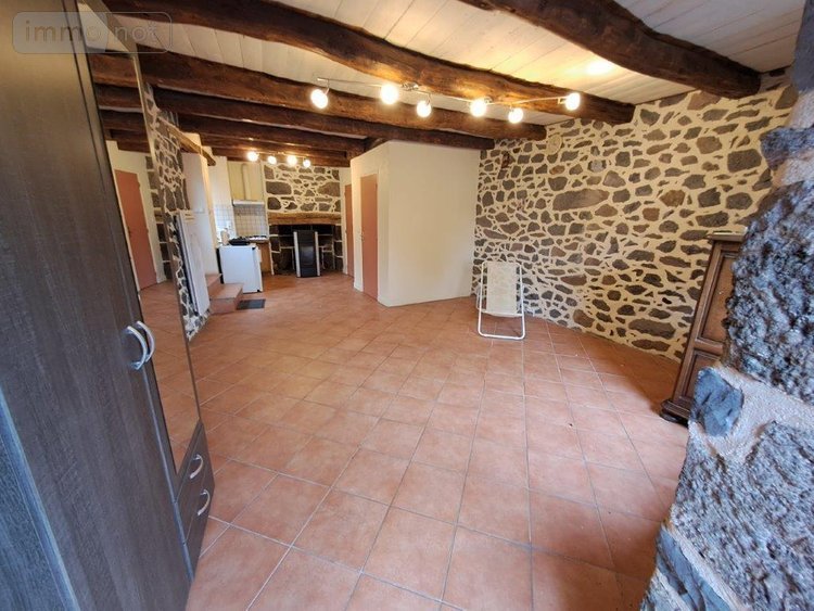 Maison a vendre Pierrefort 15230 Cantal 50 m2 2 pièces 68900 euros