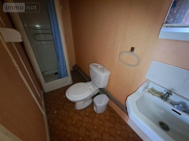 Fonds et murs commerciaux a vendre Allanche 15160 Cantal 500 m2  74500 euros