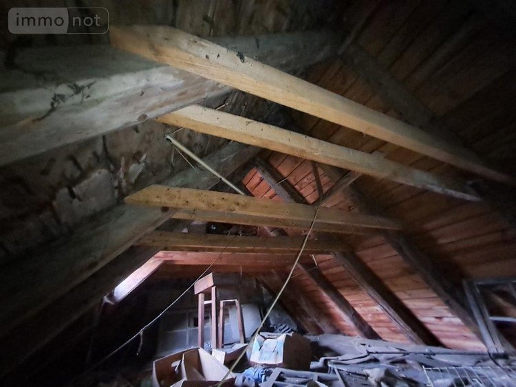 Fonds et murs commerciaux a vendre Allanche 15160 Cantal 500 m2  74500 euros