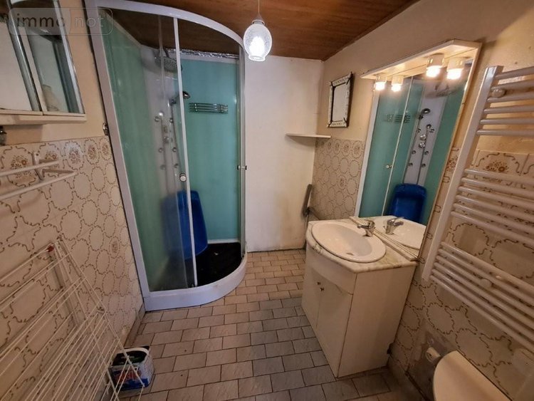 Maison a vendre Dienne 15300 Cantal 101 m2 5 pièces 69900 euros