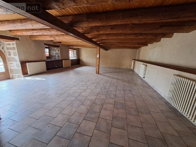 Fonds et murs commerciaux a vendre Les Ternes 15100 Cantal 235 m2  85200 euros