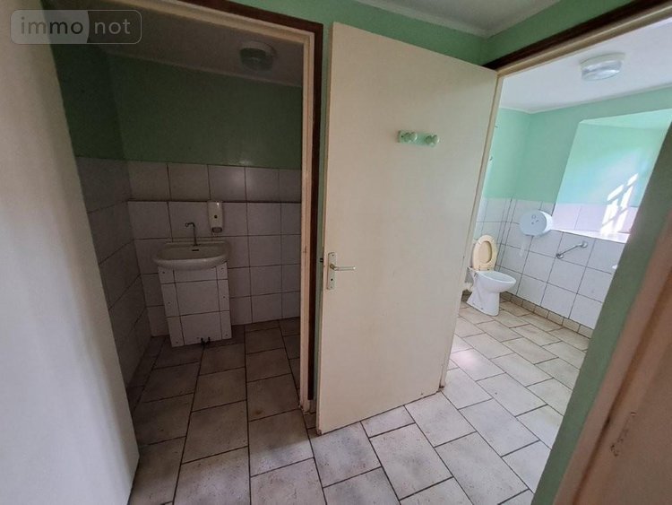 Fonds et murs commerciaux a vendre Les Ternes 15100 Cantal 235 m2  85200 euros