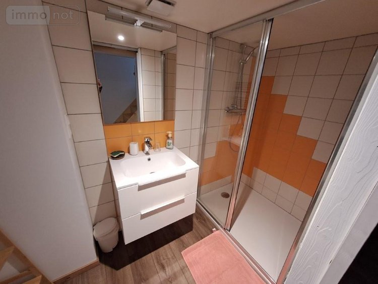 Fonds et murs commerciaux a vendre Allanche 15160 Cantal 236 m2  232000 euros