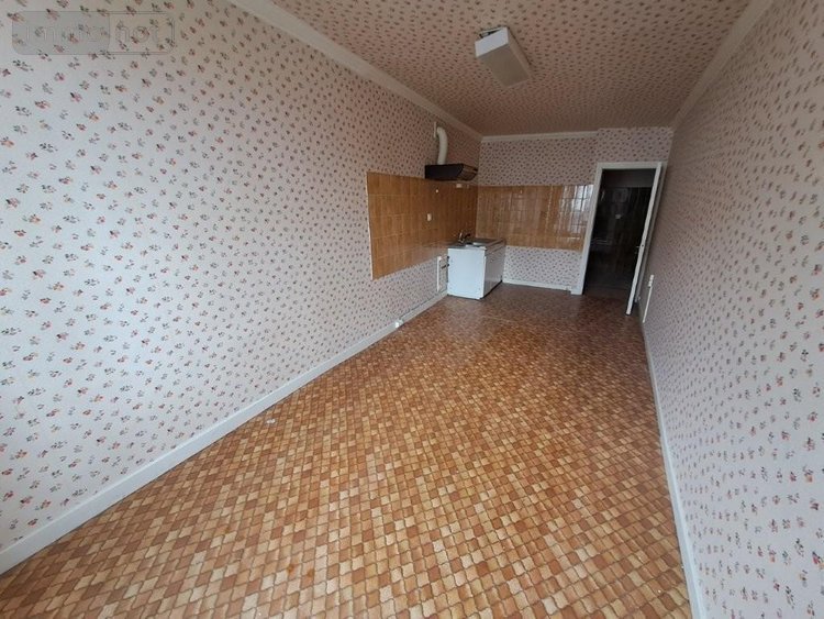 Immeuble a vendre Saint-Flour 15100 Cantal 443 m2  68900 euros