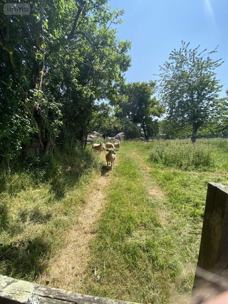 Maison a vendre Saint-Hélen 22100 Côtes-d'Armor 80 m2 2 pièces 312600 euros