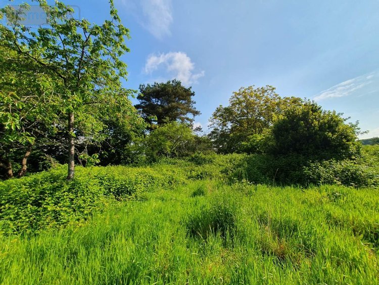 Maison a vendre Lanrelas 22250 Côtes-d'Armor 150 m2 5 pièces 199120 euros