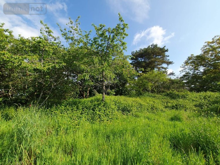 Maison a vendre Lanrelas 22250 Côtes-d'Armor 150 m2 5 pièces 199120 euros