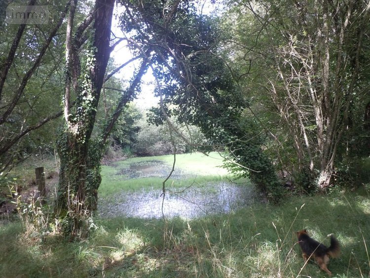 Maison a vendre Rouillac 22250 Côtes-d'Armor 175 m2 10 pièces 262000 euros