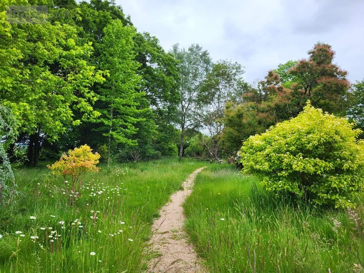 Maison a vendre Fresselines 23450 Creuse 113 m2 5 pièces 210000 euros