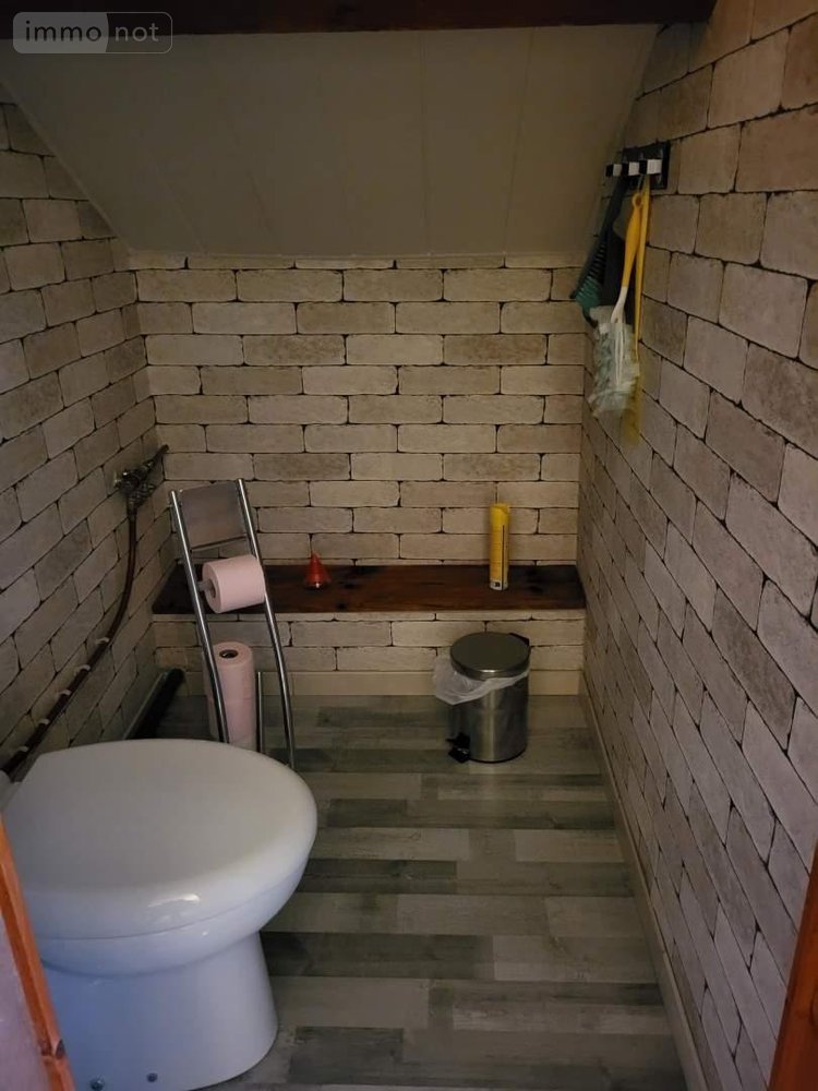 Maison a vendre Saint-Plantaire 36190 Indre 100 m2 5 pièces 199500 euros