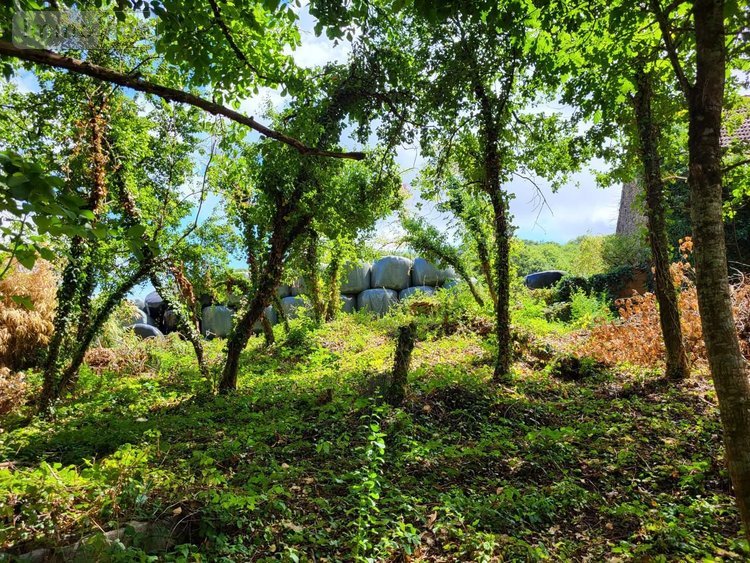 Maison a vendre Dun-le-Palestel 23800 Creuse 50 m2 4 pièces 22400 euros