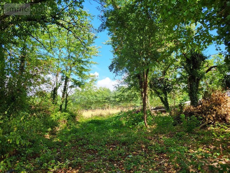 Maison a vendre Dun-le-Palestel 23800 Creuse 50 m2 4 pièces 22400 euros