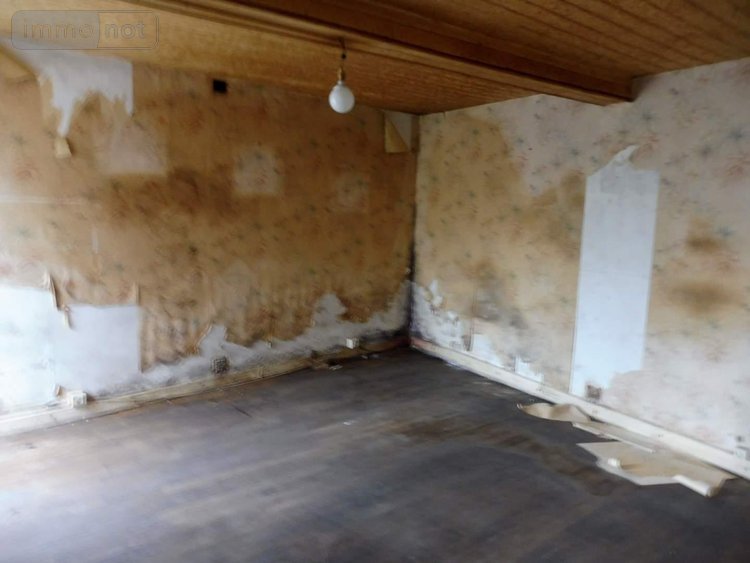 Maison a vendre Saint-Martin-de-Ribérac 24600 Dordogne 65 m2 3 pièces 35000 euros