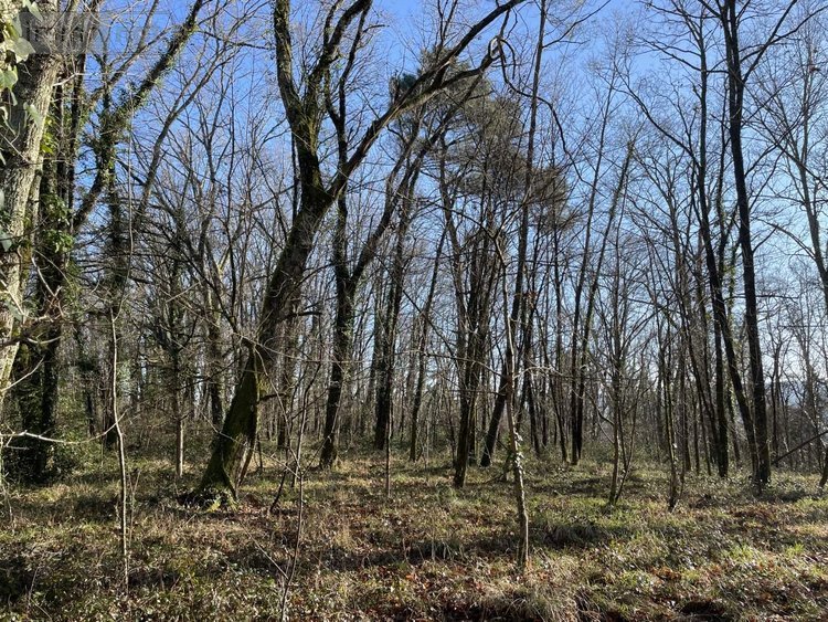 Maison a vendre Saint-Louis-en-l'Isle 24400 Dordogne 131 m2 5 pièces 197950 euros