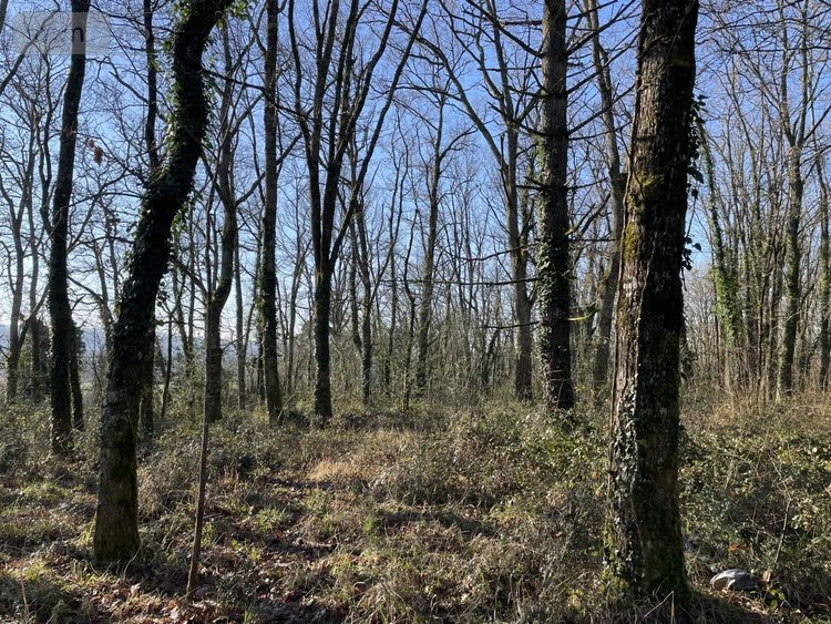 Maison a vendre Saint-Louis-en-l'Isle 24400 Dordogne 131 m2 5 pièces 197950 euros