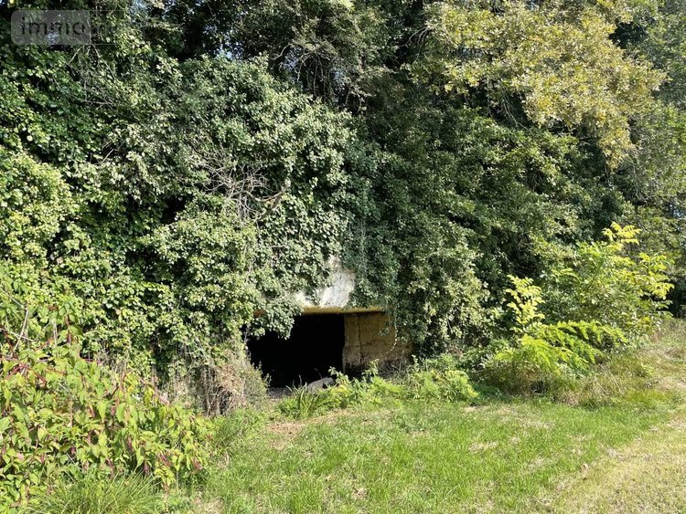 Maison a vendre Saint-Louis-en-l'Isle 24400 Dordogne 131 m2 5 pièces 197950 euros