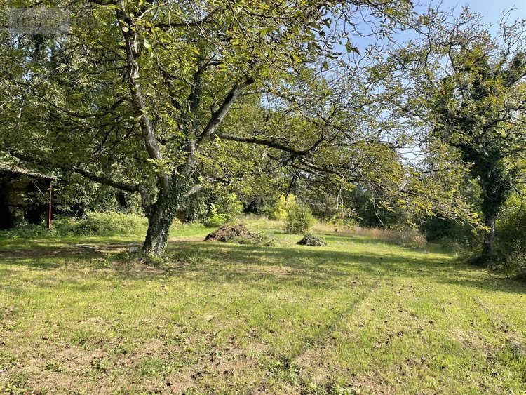 Maison a vendre Saint-Louis-en-l'Isle 24400 Dordogne 131 m2 5 pièces 197950 euros