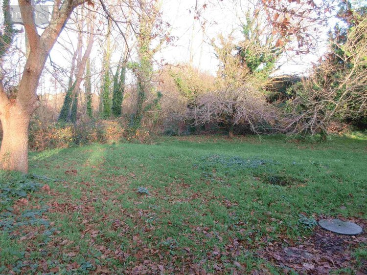 Maison a vendre Plozévet 29710 Finistère 35 m2 2 pièces 120520 euros