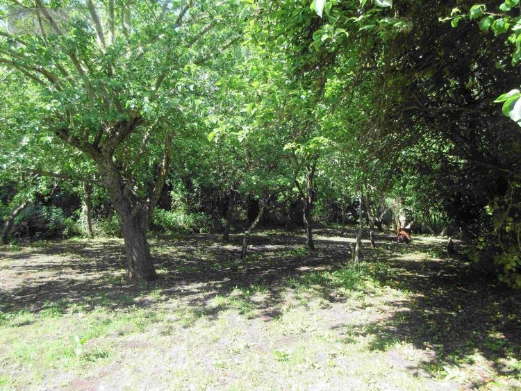 Maison a vendre Cléden-Cap-Sizun 29770 Finistère 1 m2 5 pièces 229240 euros