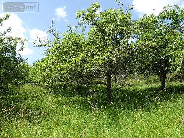 Maison a vendre Gouesnach 29950 Finistère 154 m2 7 pièces 573450 euros