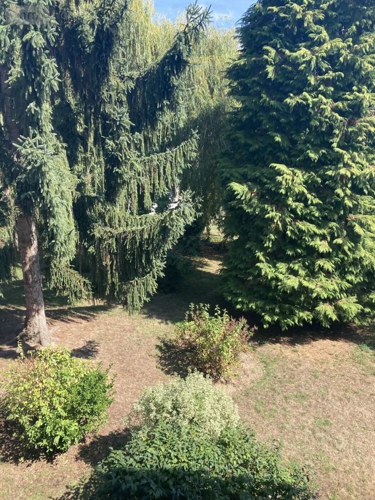 Location appartement Rennes 35000 Ille-et-Vilaine 76 m2 3 pièces 879 euros